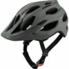 Alpina Carapax 2.0 Fietshelm -Julbo-winkel iview 5036963 019 pic1