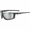Uvex Sportstyle 310 Zonnebril -Julbo-winkel iview 5044907 001 pic1