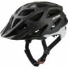 Alpina Mythos Reflecterende Fietshelm -Julbo-winkel iview 5049775 001 pic1