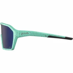 Alpina Ram Q-Lite Sportbril -Julbo-winkel iview 5049782 003 pic3